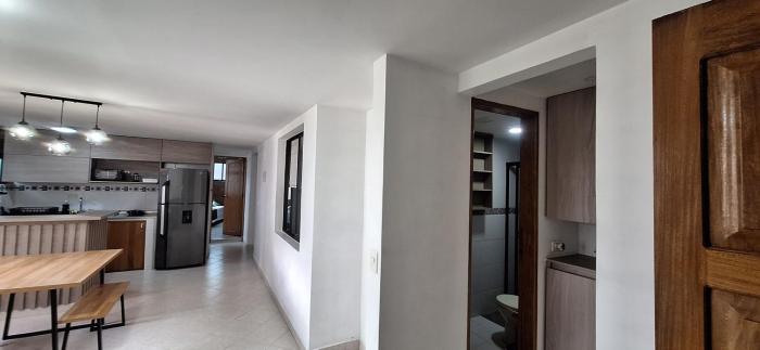 Bambú Laureles