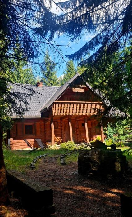 Wood & Wild Istebna