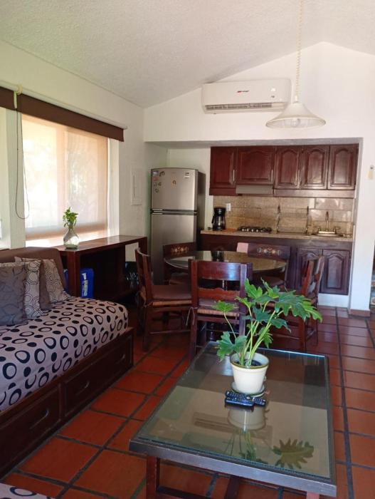 Villa del palmar Manzanillo