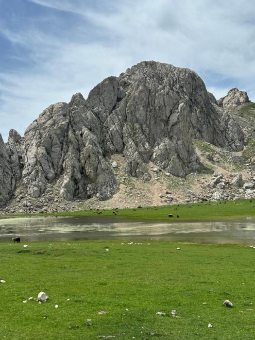 Akham Njarjar