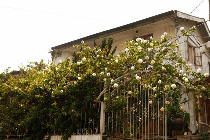 SIA Home - Dalat Cottage