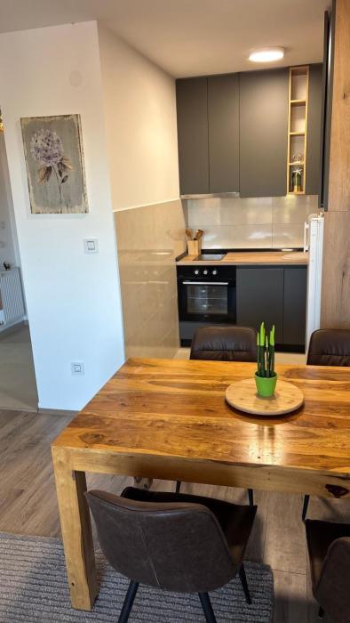 Apartman u srcu Banja Koviljaca 2