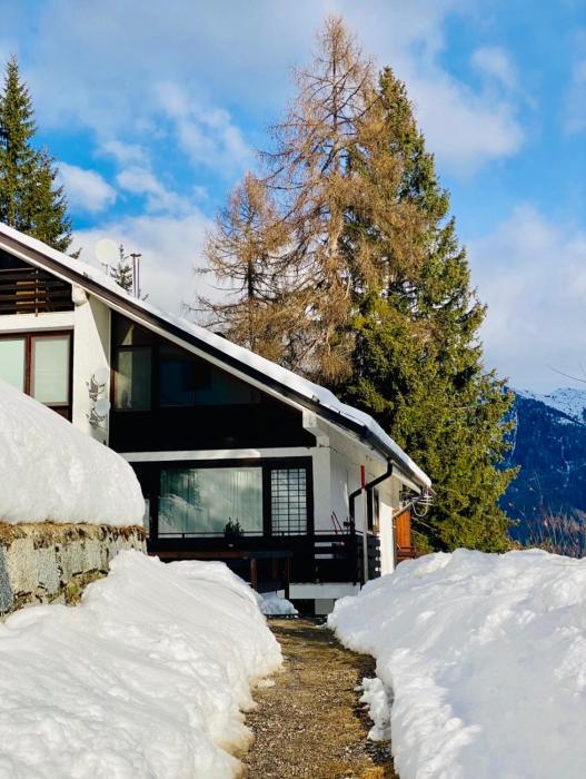 La casina fuoripista - Folgarida Apartment