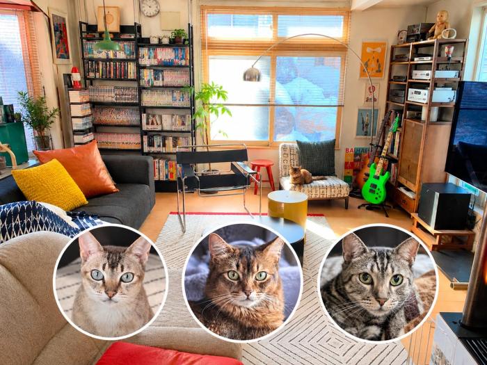 猫と暮らす家 駐車場有English Español available 深夜のチェックイン対応