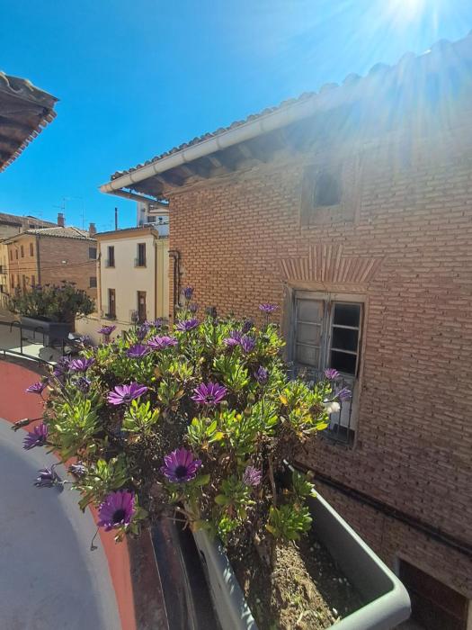 CASA ARQUEÑA - casa entera para grupos 10-14 personas
