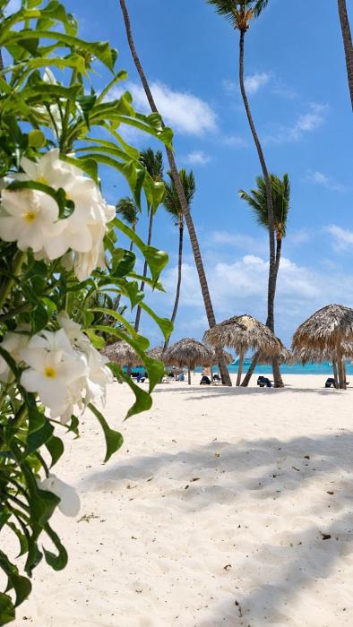 Palapa Tropic Beach Punta Cana