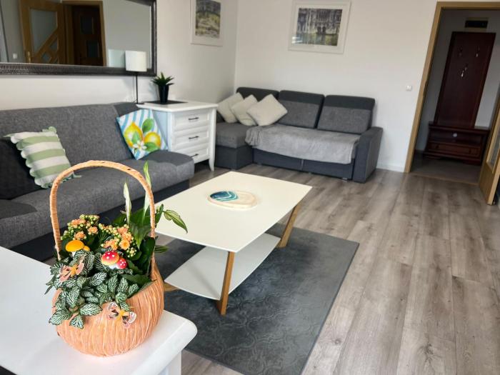 AL-DOM Apartamenty Olymp 302