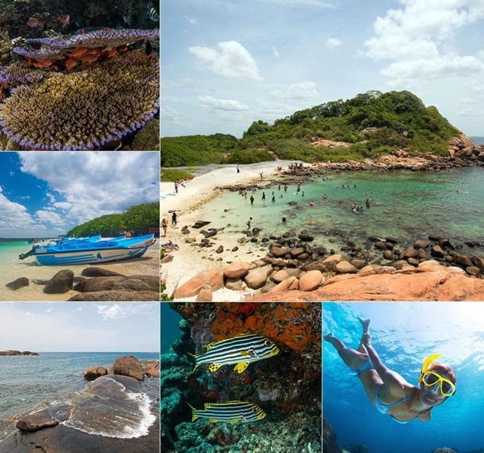 Trincomalee Marine Tours