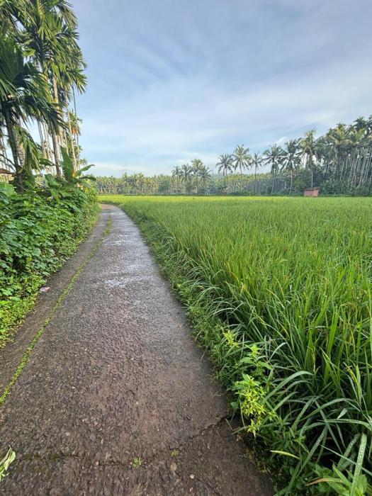 StayatPadyVillage