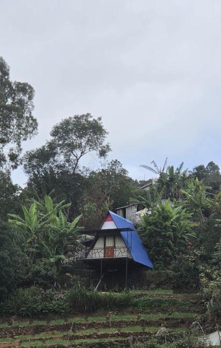 PVA farms KODAIKANAL