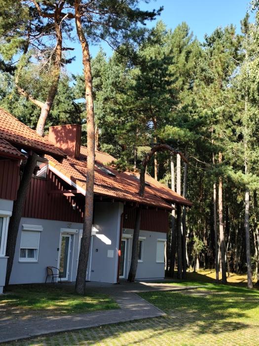 PUŠIES namai