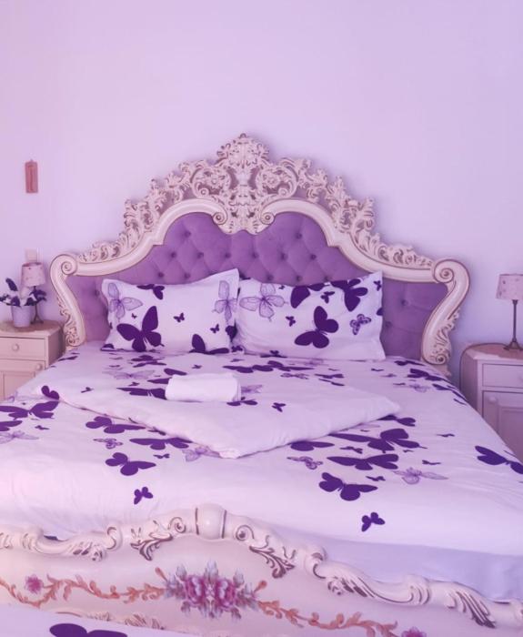 Apartament Baron Sighisoara
