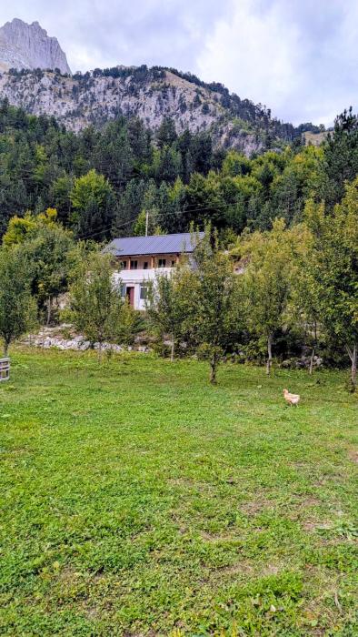Guests house, Artani