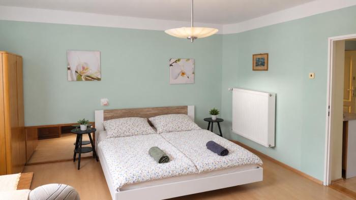 Prostorný apartmán v rodinném domě blízko centra s výhledem do zahrady
