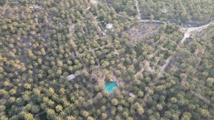 Camping Ecological Coco Oasis with natural Pool