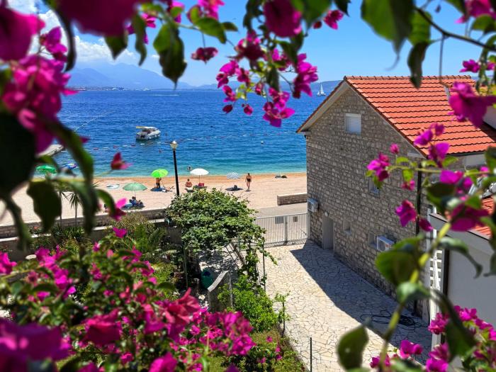Apartment with swimming pool Bijela 31