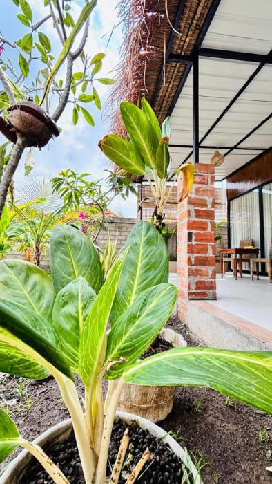 Suka House Lombok