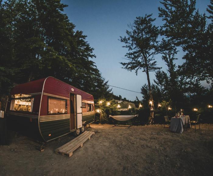 Amanita Wild Camper