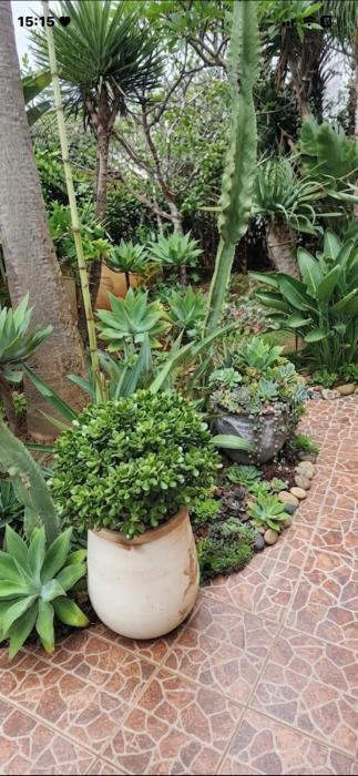 villa de charme avec grand jardin á 2 min de la mer