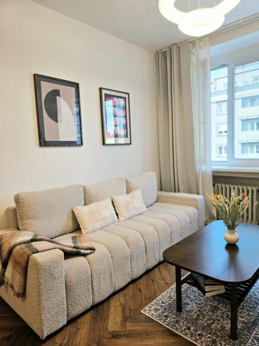 Entire Apartment with the balcony