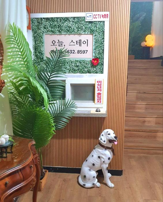 오늘, 스테이