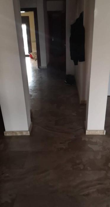 Rogotis Room
