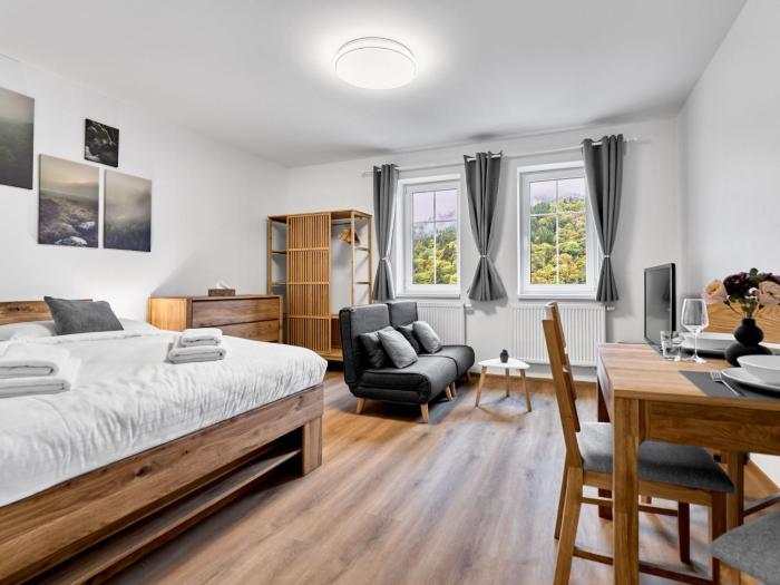 Studio Mánesova-2 by Interhome