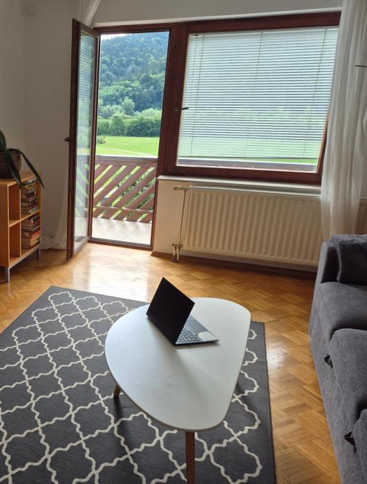 Spacious 2-Bedroom Apartment - 20 min to Ljubljana
