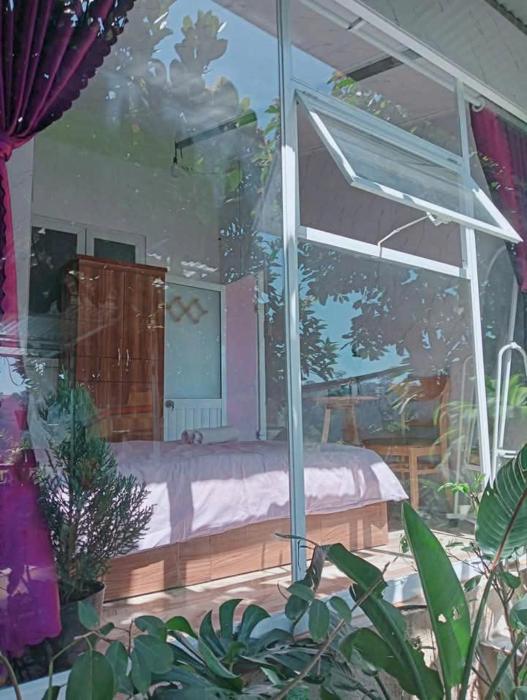 Violets House Homestay