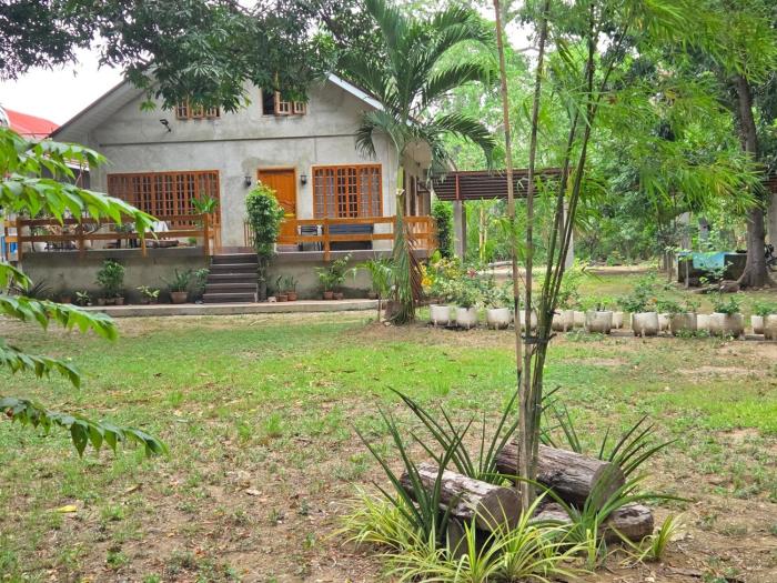 The Brown House - Argao