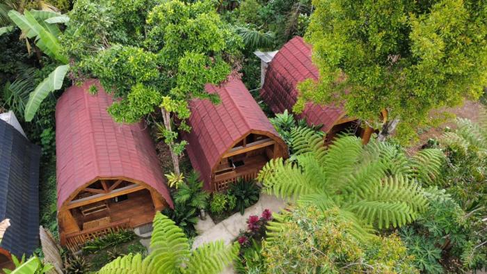 Coffee Homestay Tetebatu B26