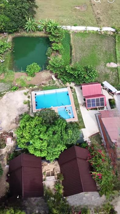 MOE FARM&glamping services