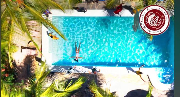 Kameleon Blue Arts Lodge