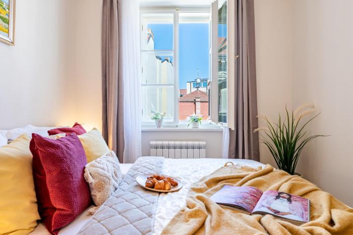Prague Days - One Bedroom Apartment with King Bed & Elevator in New Town