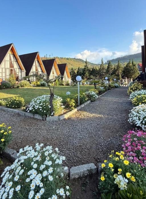 Platinum Cabin Dieng 3 by Horison