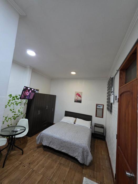 Recoleta estudios