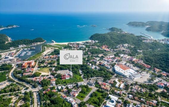 3069 - Cala 202
