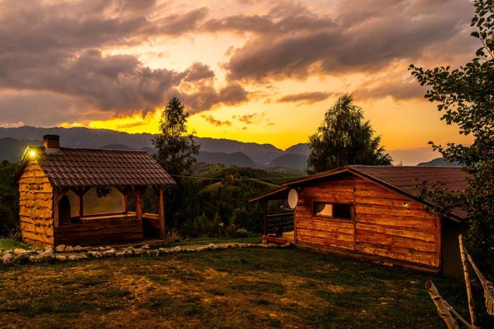 Cabana doi mesteceni