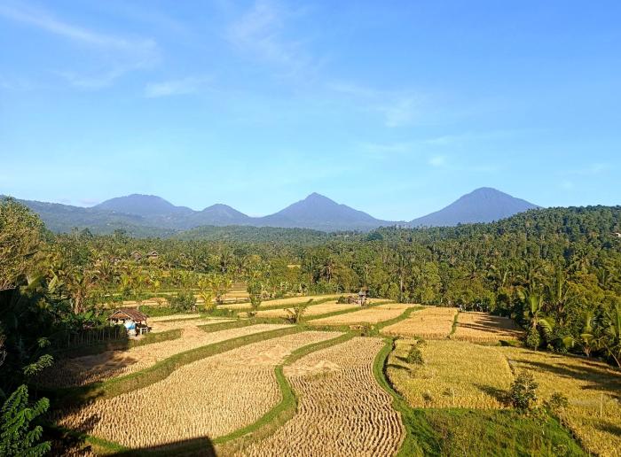Bali Harmoni Munduk