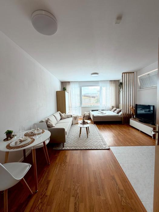 Apartment 17B