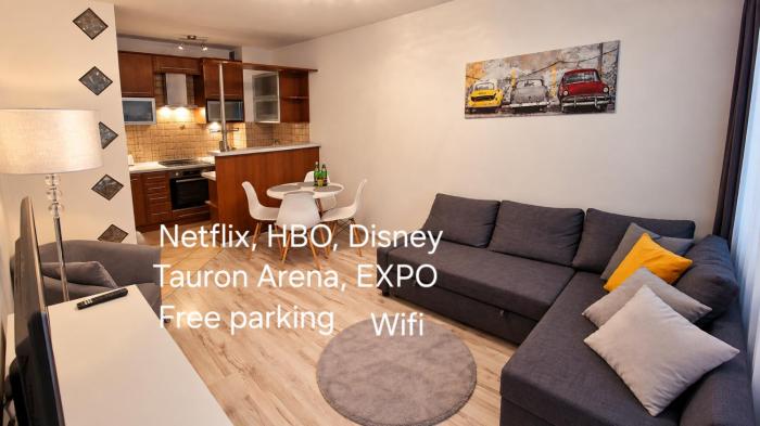 Apartament Sołtysowska 10d NEAR Tauron Arena, EXPO