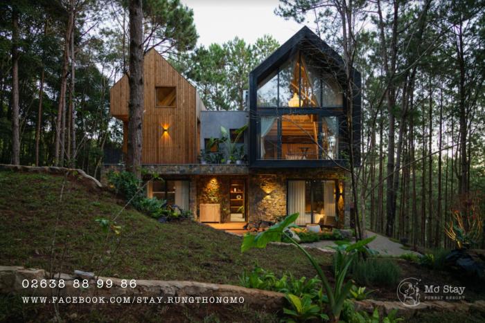 Mơ Stay - Forest Resort