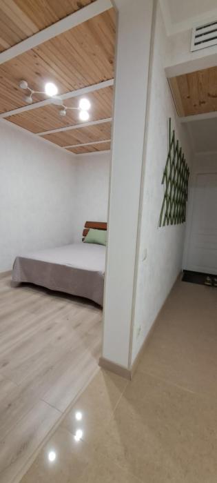 New Design Apartment Nyvky Autonomous Heating