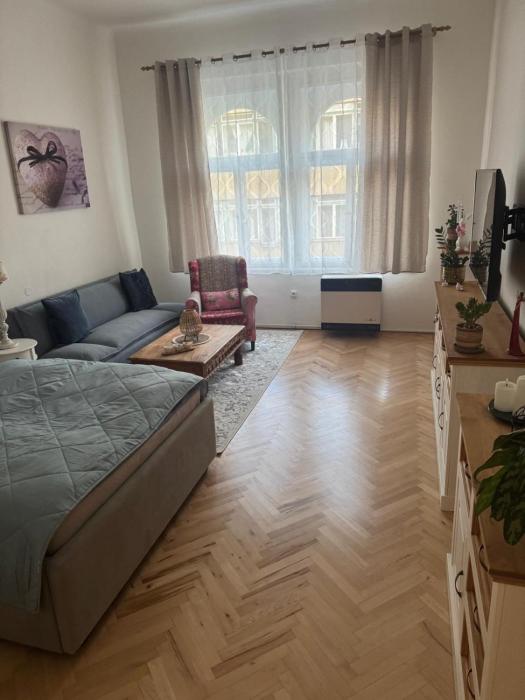 Veverkova Apartment Prague
