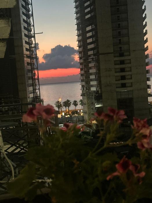 Apartnuca