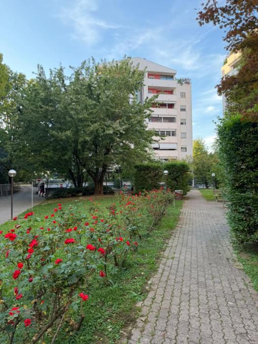 Bellappartamentino