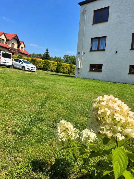 Apartament Stokrotka