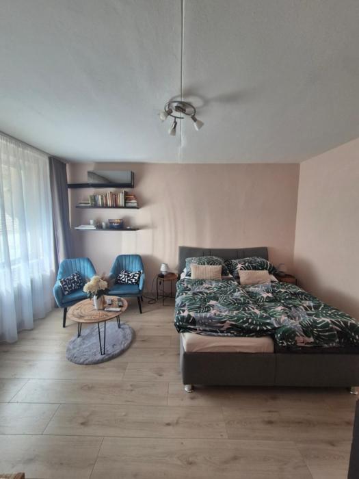 Apartment Palárikova