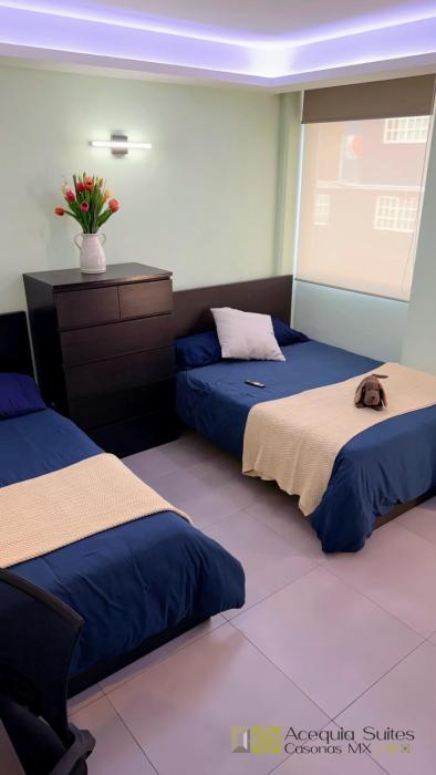 A21 Premium Suite BLACK MAX Cocina Terraza Companies Work Teams 2-4 PAX