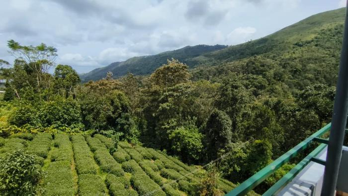 Ellickalhomestay